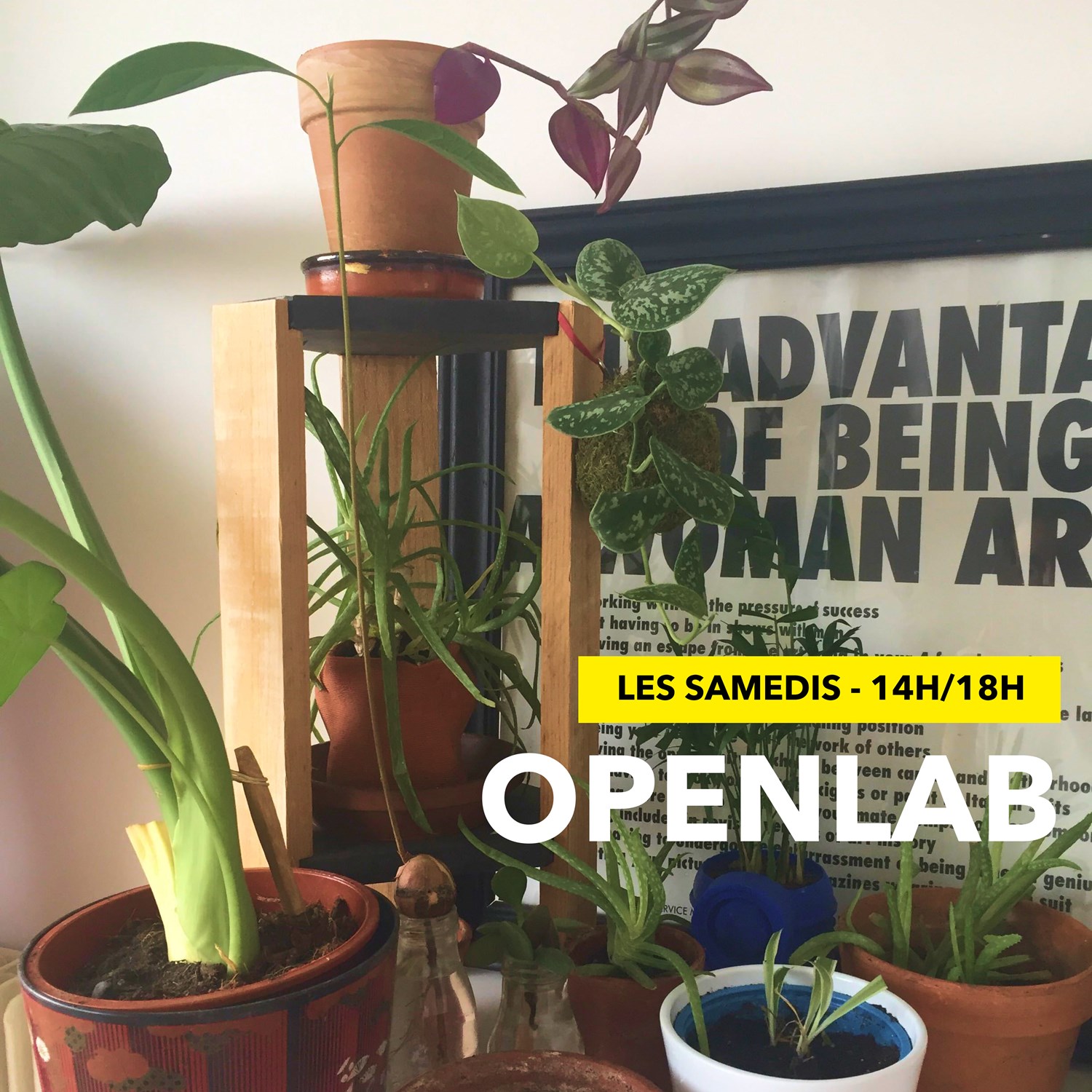 Openlab #1