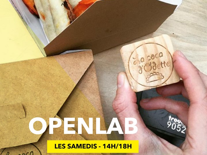 OPENLAB #11